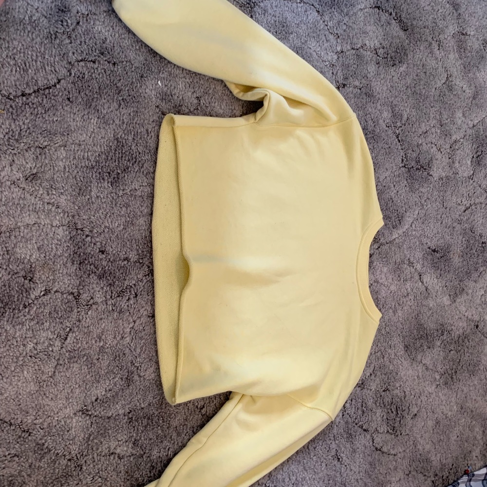 It’s a light crop too hoodie does not have a hood